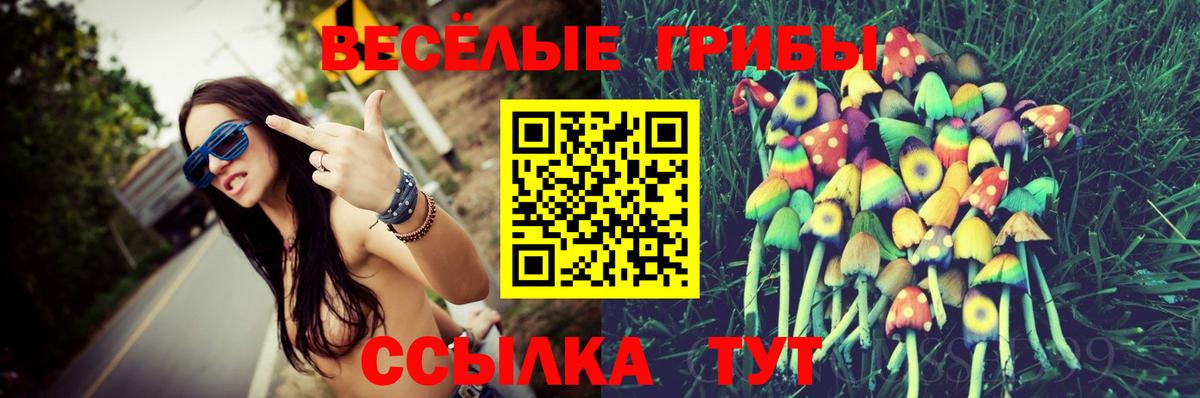 Галлюциногенные грибы Magic Shrooms  Вход с VPN  Грозный  Галлюциногенные грибы GOLDEN TEACHER 